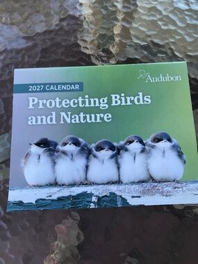 2027 colorful birds nature + 2026 Q4 page Wall calendar - holidays, moon phases